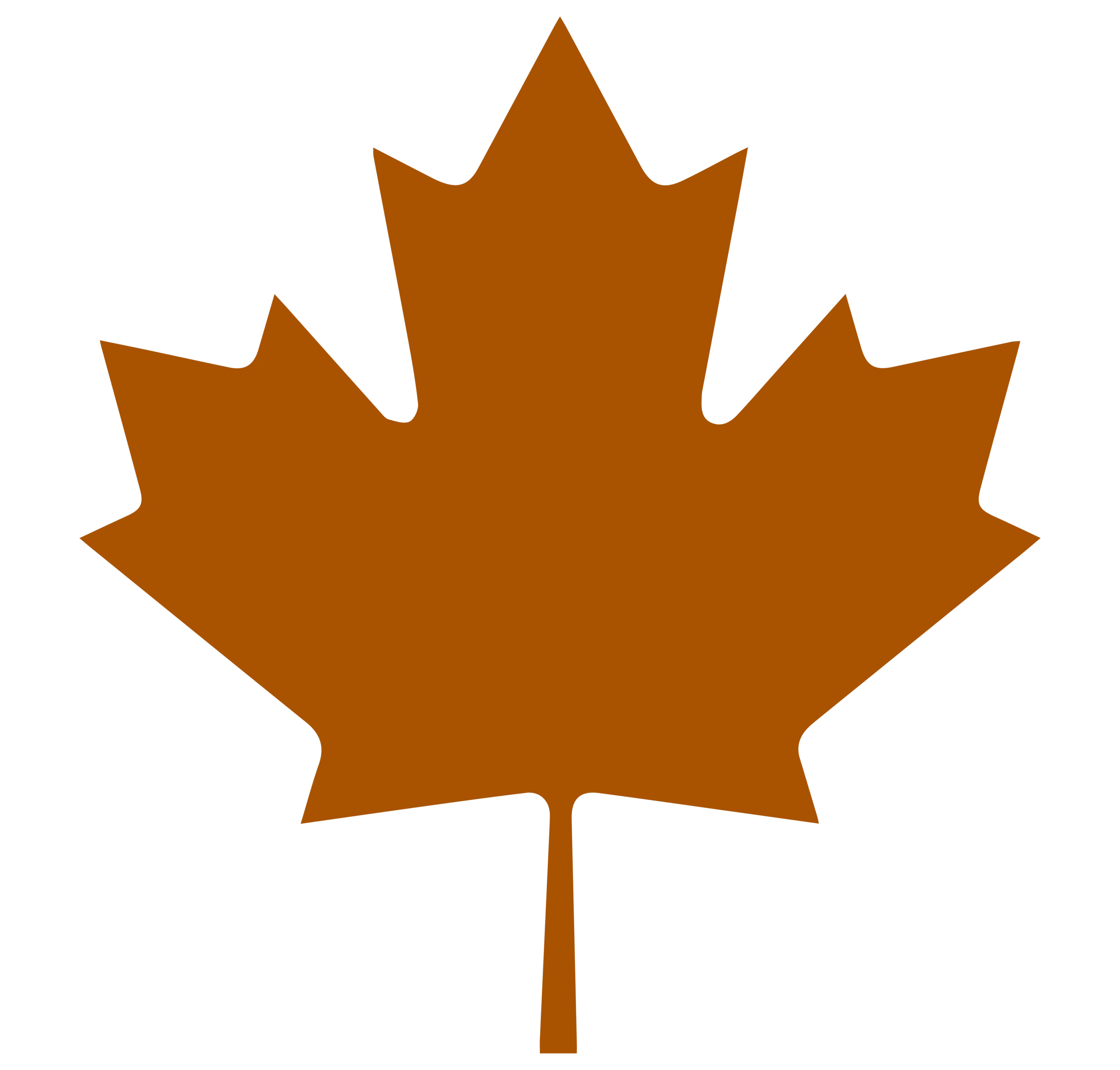 https://israeltocanada.ca/wp-content/uploads/2024/11/shapes-2-scaled.webp