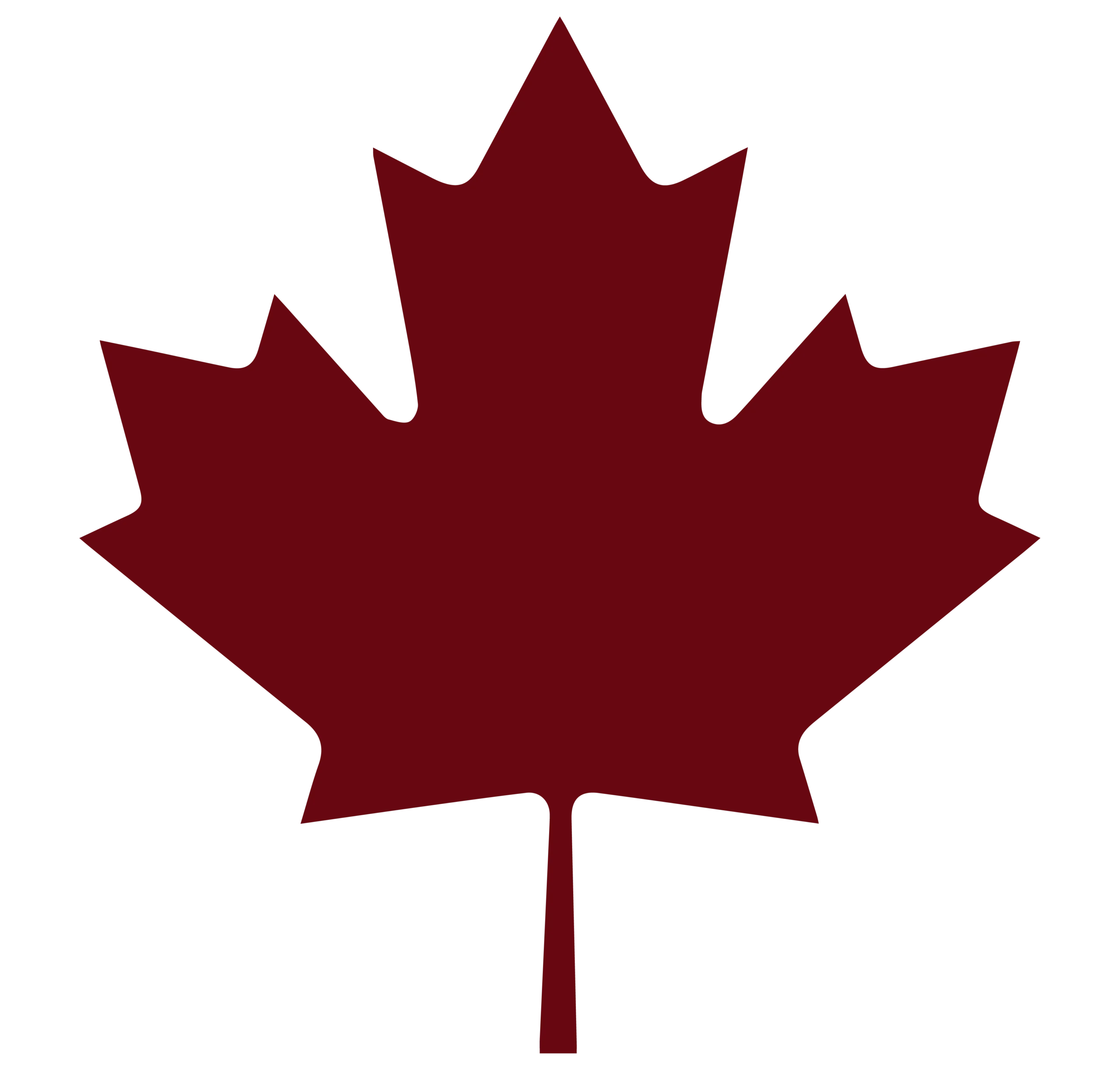 https://israeltocanada.ca/wp-content/uploads/2024/11/shapes-3-1-scaled.webp